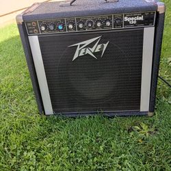 Peavey Speaker 