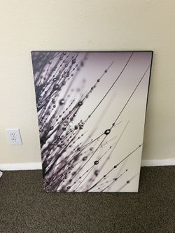 Print Canvas Picture 