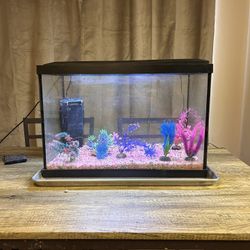 Aquarium/fish Tank