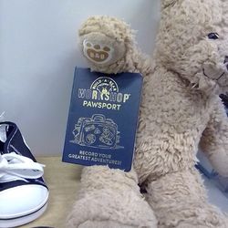 Timeless Teddy Bear 