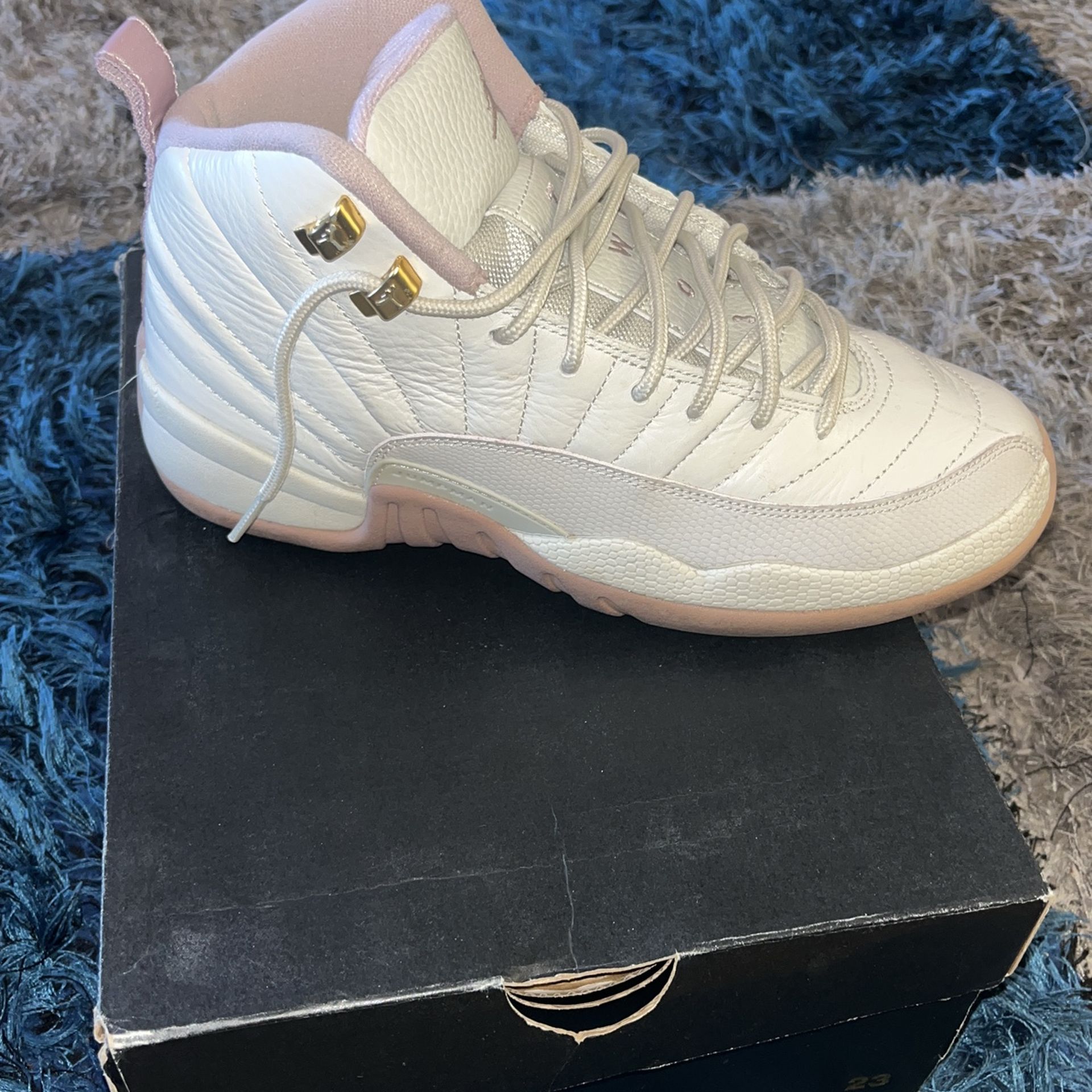 Air Jordan 12 Retro