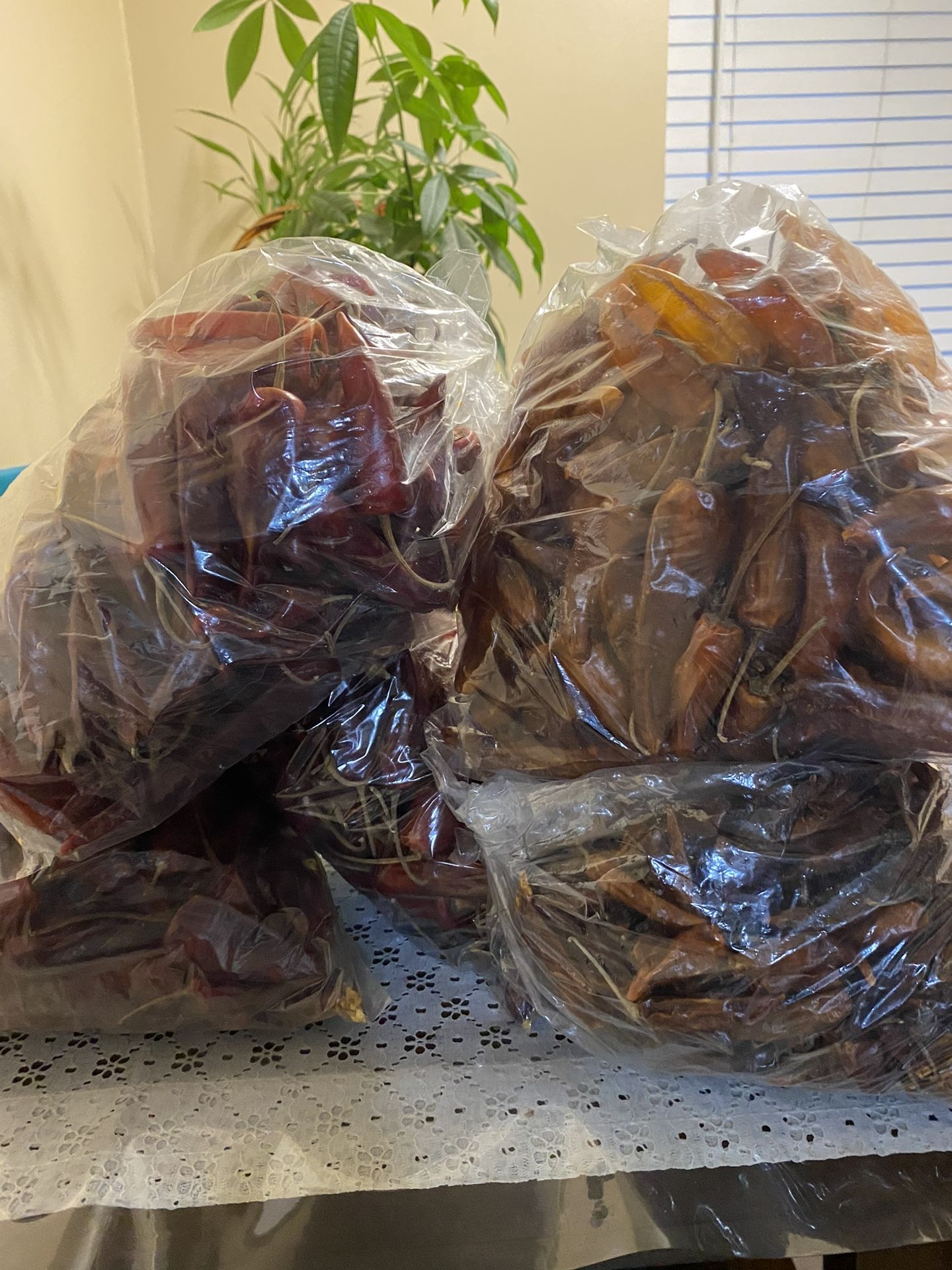 Chile Costeño Rojo Y Amarillo De Oaxaca 