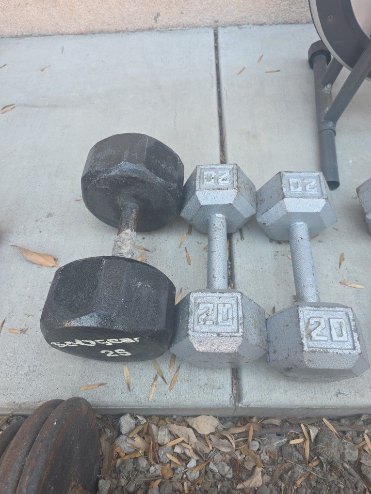 Weights and weslo Cycle