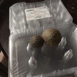 Air Potato Bulbs
