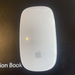 Apple Mouse Read Description 