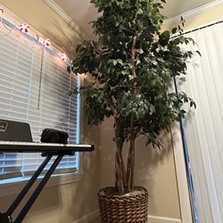 96" Faux Foliage Tree in Basket