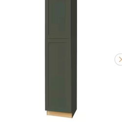 Hampton Bay Avondale 18 in. W x 24 in. D x 84 in. H Ready to Assemble Plywood Shaker Pantry Kitchen Cabinet in Fern Green