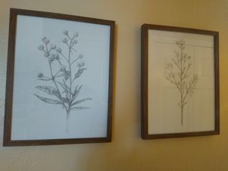 Beautiful Botanical Wall Art Set