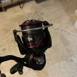 Ballistic 6000D lt With Tsunami Rod