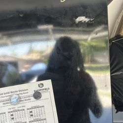 A Whirlpool Refrigerator 