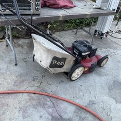 Excellent Condition Grass Lawn, Trees Trimmer End, Leaf Blower