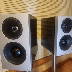 DEFINITIVE TECHNOLOGY D11 Stereo Speakers