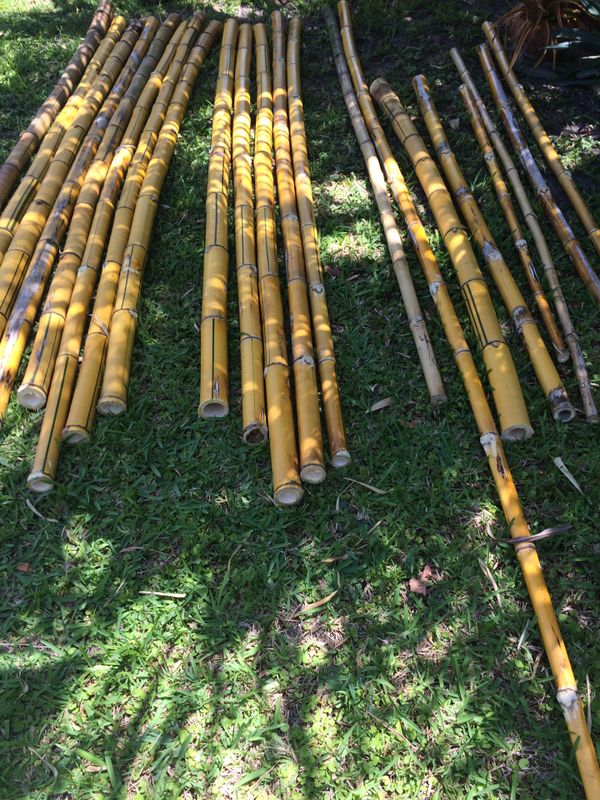 Bamboo sticks for Sale in Riviera Beach, FL OfferUp