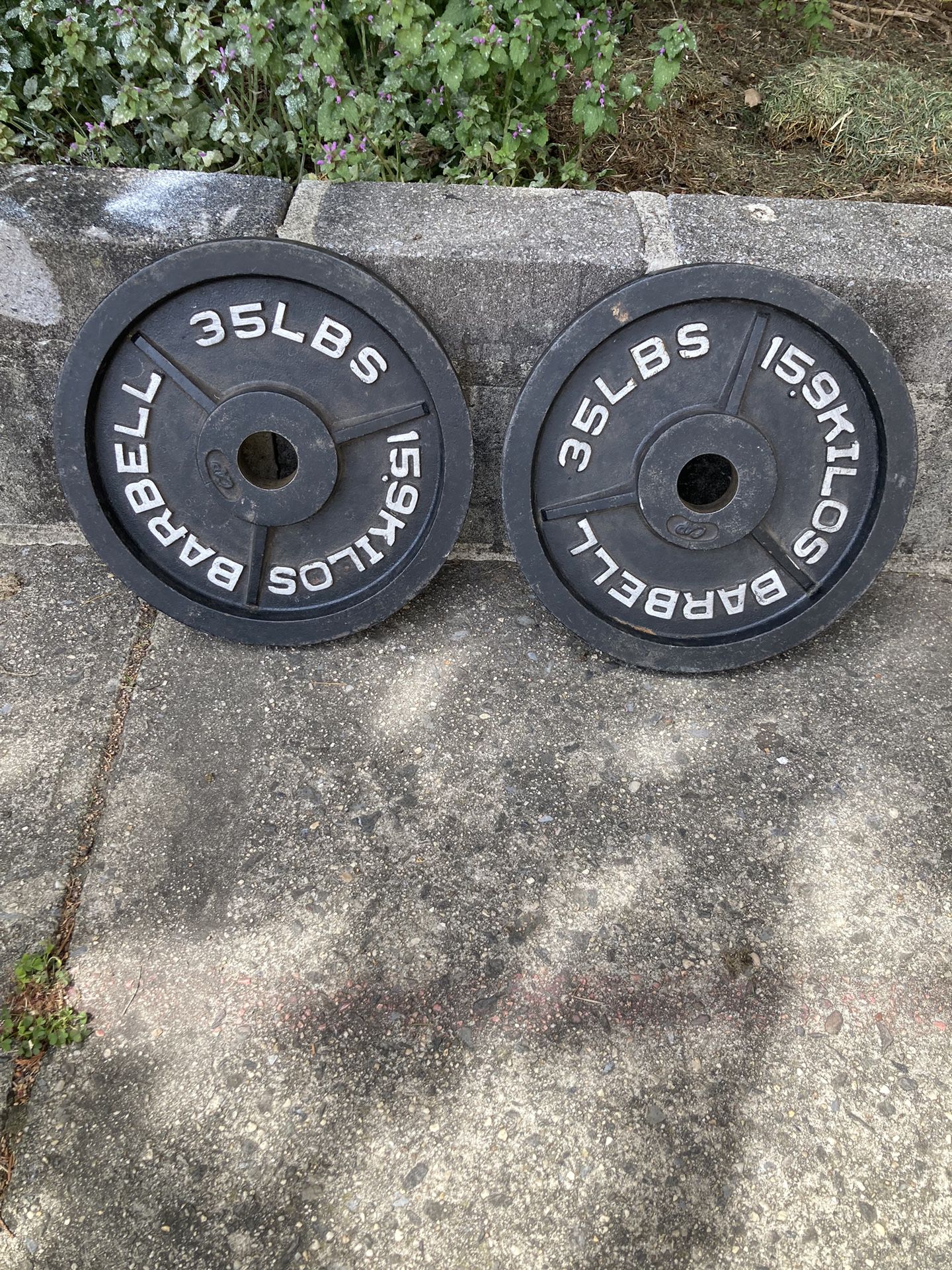 Cap Weight Plates - 35s