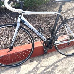 QUINTANAROO road Bike Carbon 