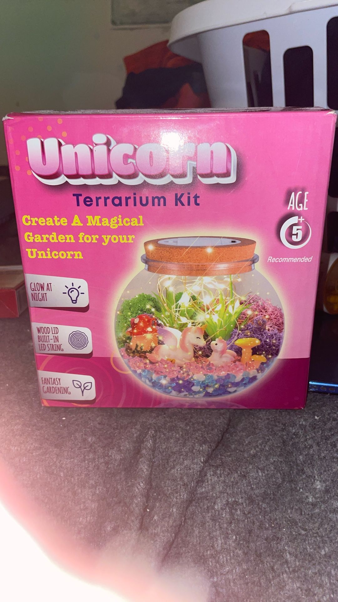 Girls Toy