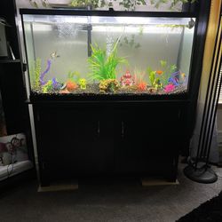 Very Good Condition Fish Tank