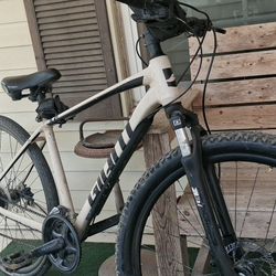 Giant. 29"
