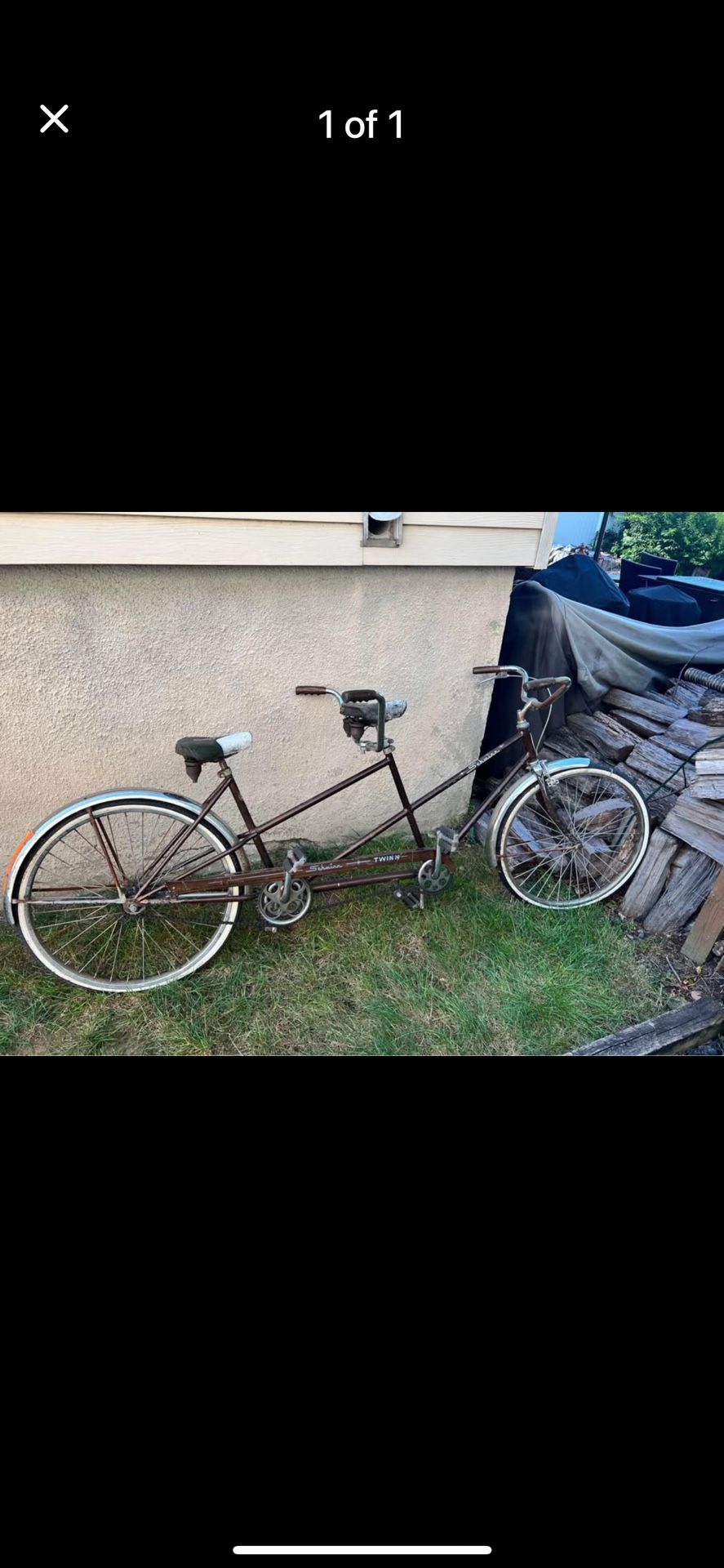 Schwinn Double Seated Bicycle