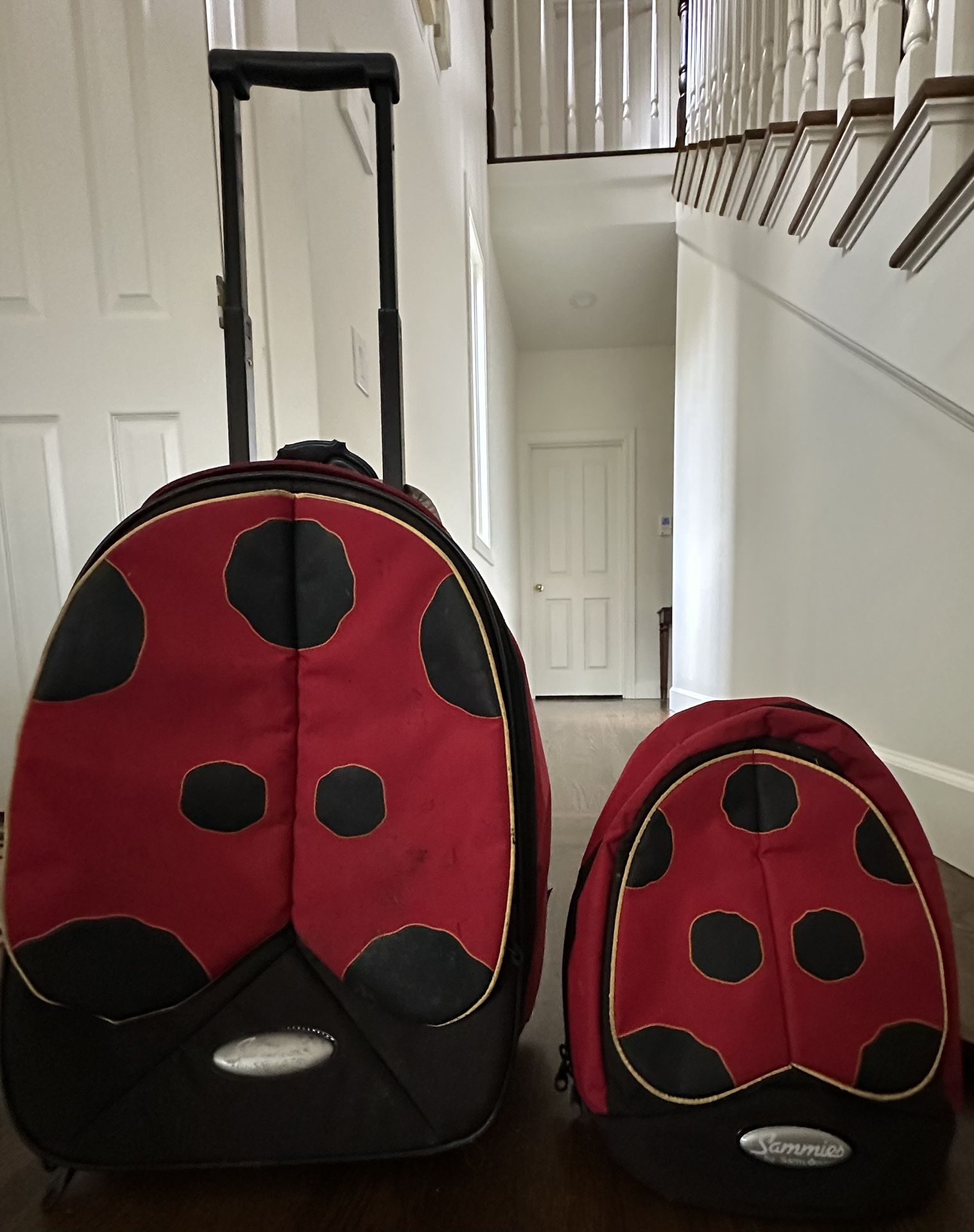 Ladybug Kids Traveling Set