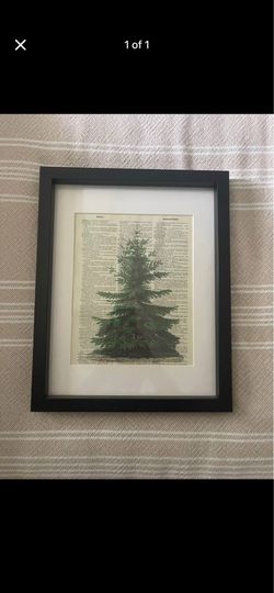 Framed Picture