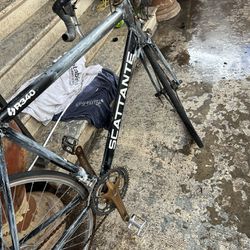Scattante R340 Bike