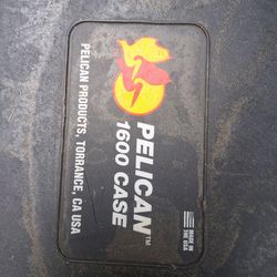 Pelican Case (black)