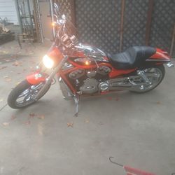 Screaming  Eagle  2006 V ROD 