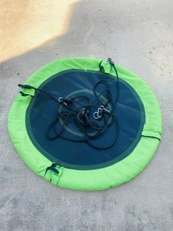 Tree Swing