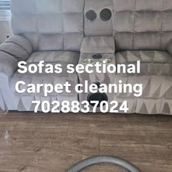 Carpet Couches Sofas Steam