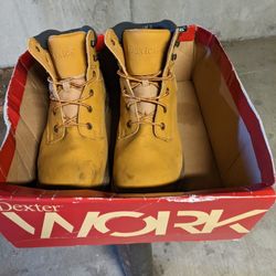 Dexter Work Boots. 

Size 12W
Eur 45.5 W
Mex 31W