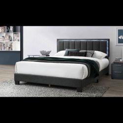 Queen Grey Led Euro Plain With Ortho Matres!!