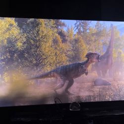 65" Samsung Tv