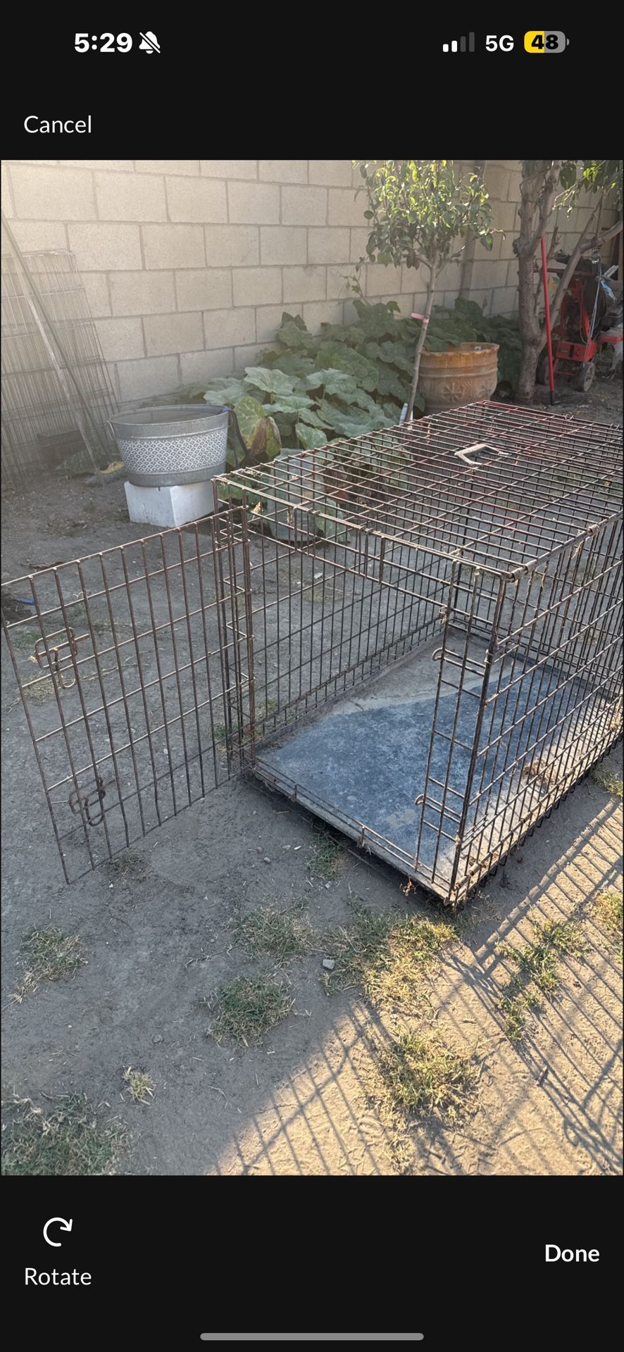 Dog Cage