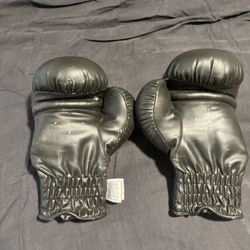 Century 14oz Boxing Gloves W/elastic Wristband