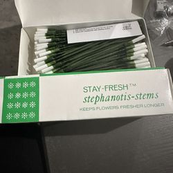 18 Box 3600 Pcs Liquidation Wholesale New Stay-Fresh STEPHANOTIS STEMS Bouquets Corsages Boutonnieres Wedding Flowers