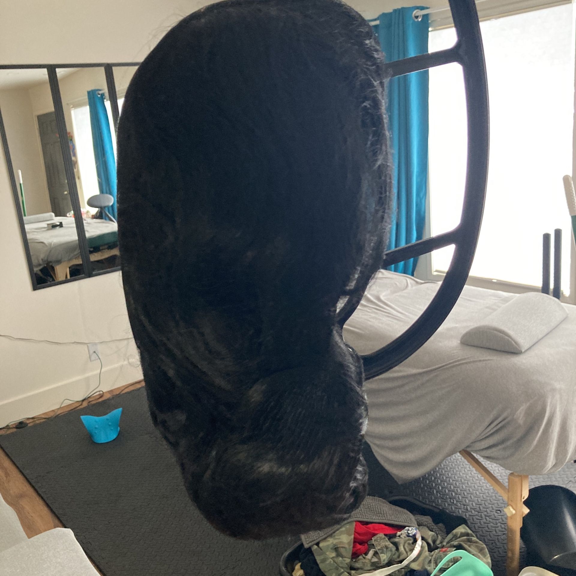 Brand New Wigs!! With Hangers!