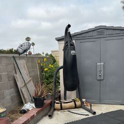 Pro Heavy Bag And Stand Read Description 