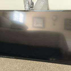 Vizio 60 Inch TV