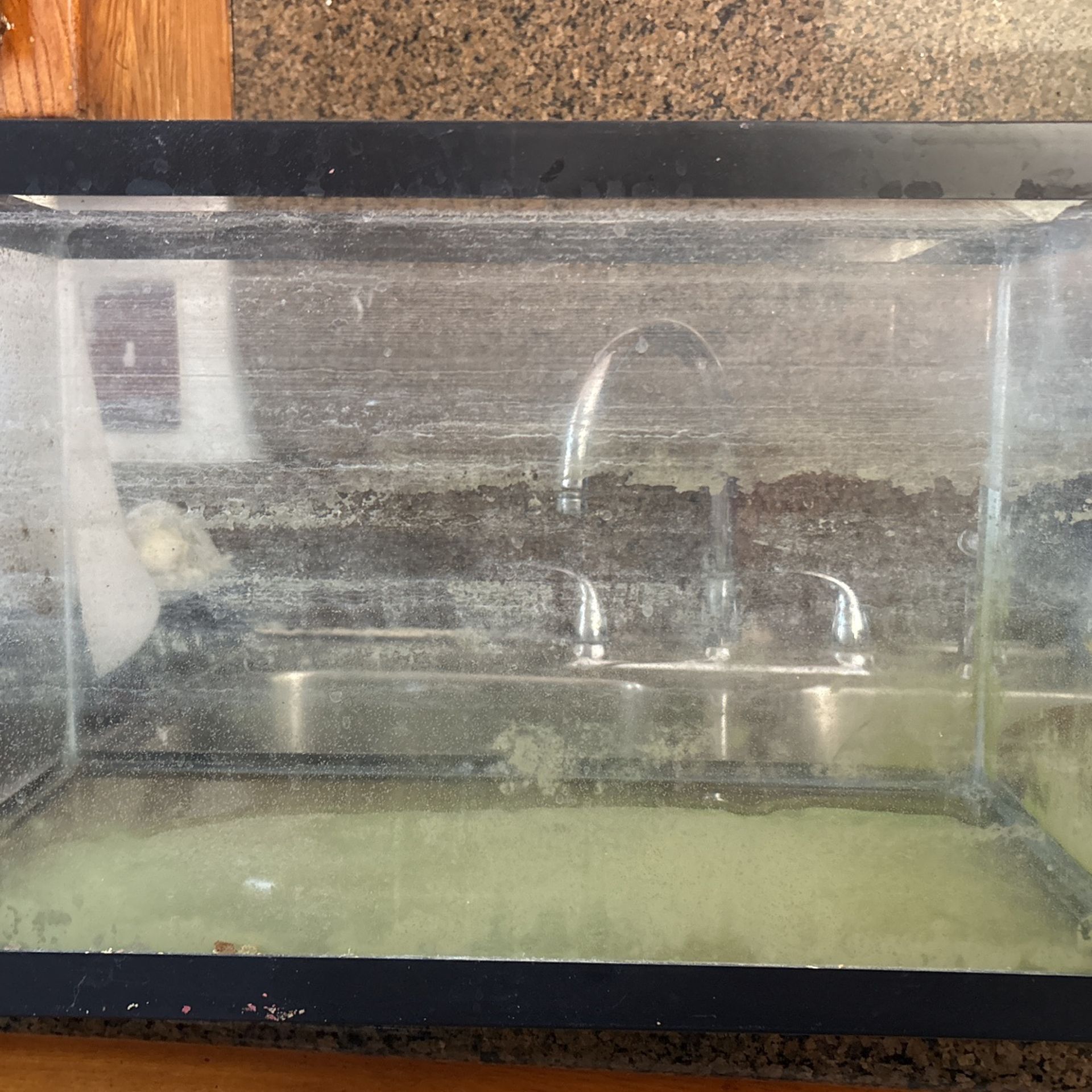 Fish Tank 