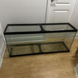 60 gallon tank