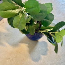 Faux Plant & Blue Pot