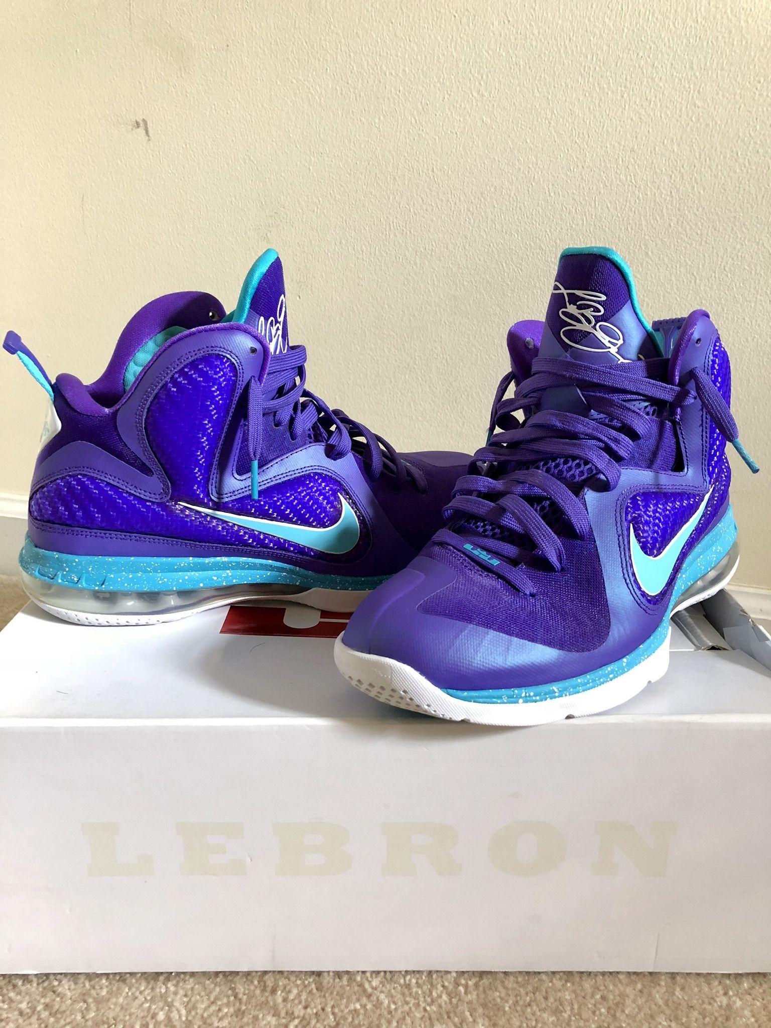 Lebron 9 Hornets Size 9.5