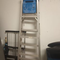 7 Foot Ladder