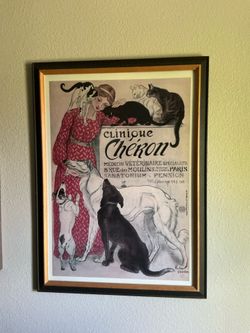 Cat Advertisement Picture