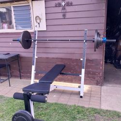 Olympic Bench /7ft Bar /clamp /weights