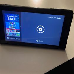 Nintendo Switch Console Only