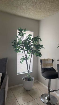 Artificial plant indoor