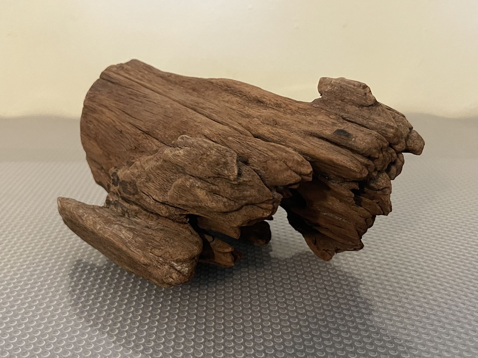Driftwood Log