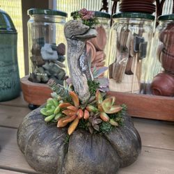 Handmade Concrete Pumpkins W/real Succulents 